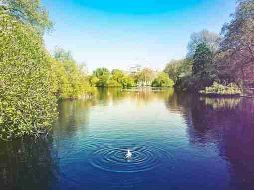 亲吻母亲唯美图片