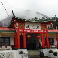 原始森林茂密|山花烂漫