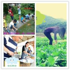 还可以骑上浪漫单车之旅