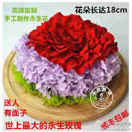 小丑鲜花保鲜花礼盒永生花玻璃瓶罩透明花盒摆放花艺