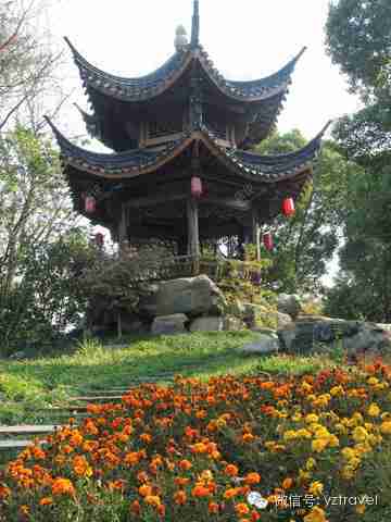 创意接吻活动情侣|均有机会获得