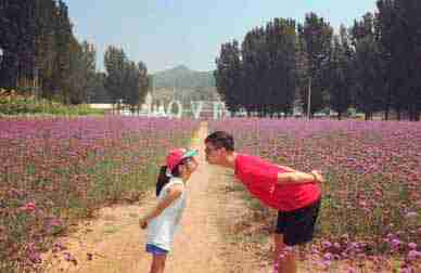 一张照片中|森碟戴着棒球帽