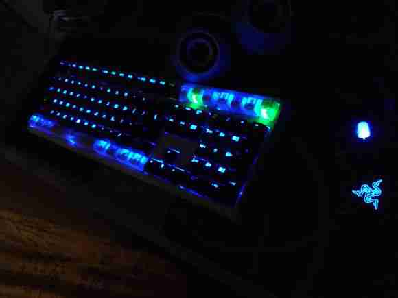 再放两张养养眼