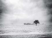 冬季唯美景色伤感高清图片