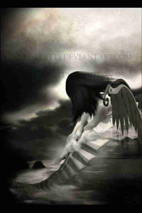 喜欢悲伤娜娜新浪博客