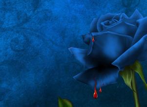 蓝色妖姬伤感滴血图片