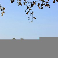 xiao小论坛唯美单纯