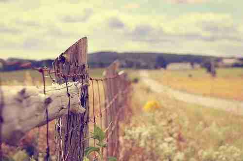 微信空间伤感孤独的文字