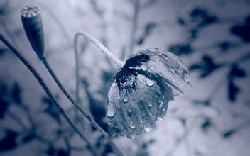 寂寞伤感微信名字|伤感微信名字大全