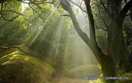 伤感寂寞心情说说