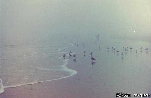 挡不住的寂寞伤感图片