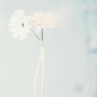 美图唯美~~情感意境