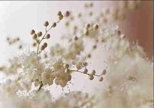 微信朋友圈伤感孤独的短句