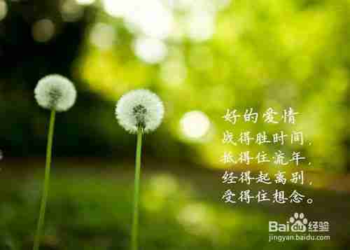 唯美伤感句子寂静的角落里孤独地抚摸伤痕