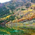 清新淡雅图片九寨沟唯美系风景