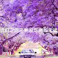 我不哭微信伤感头像第张