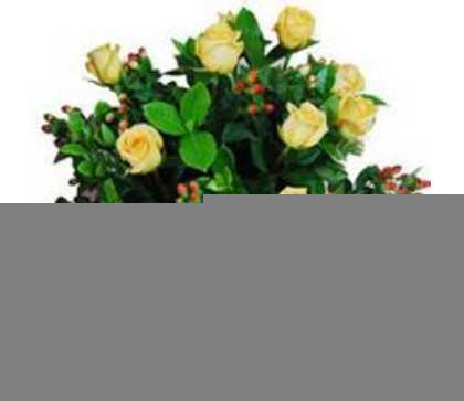 黄玫瑰珍重祝福和嫉妒失恋;