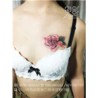 美女纹身|人物纹身|纹身遮盖