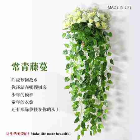 戒指也有小清新绿藤