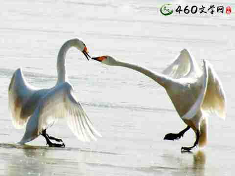 唯美伤感语录习惯等待