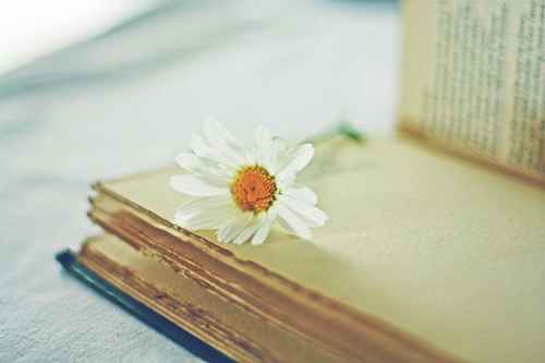 伤感唯美意境图片