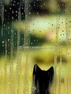 伤感的雨水图片唯美