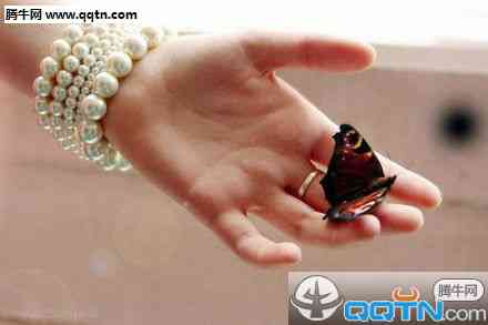 最新伤感句子句句痛心