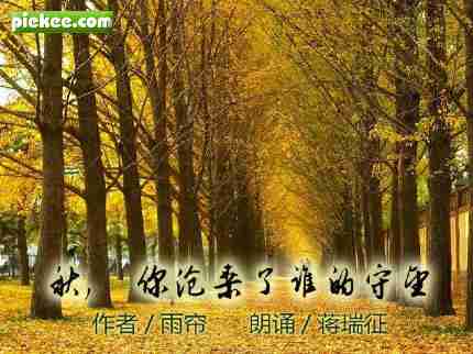 秋|你沧桑了谁的守望