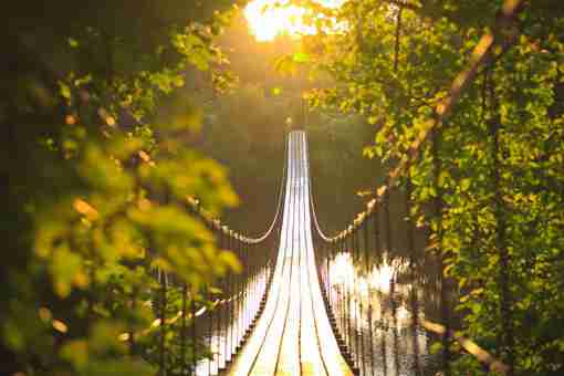 书一笔沧桑|淡看流年