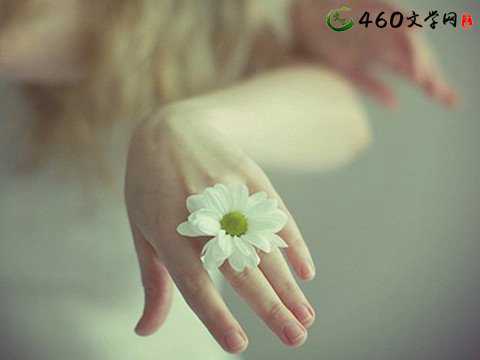 把伤感埋在记忆的角落