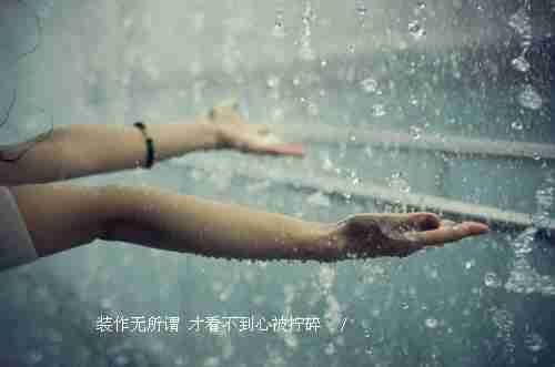 就像沧桑阅读多了会流泪