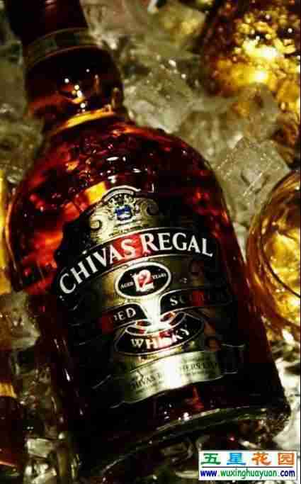 女生爱喝酒其实也没什么大不了!我是一个人吗?