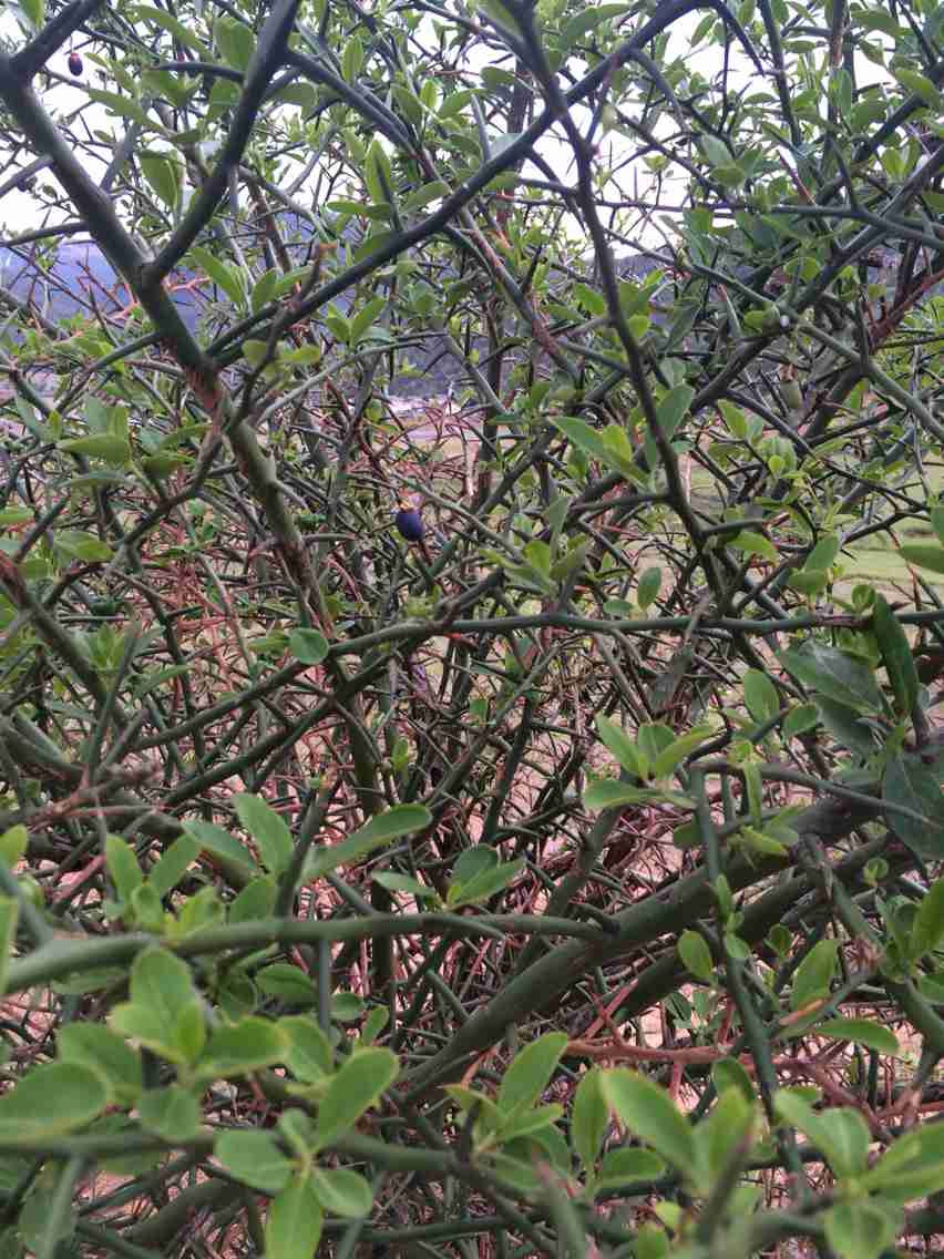 一个人的旅行遇到伤感的爱情