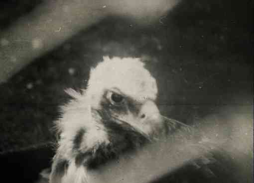 黑白伤感|微刊悦读喜欢