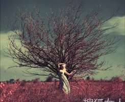 美景美女的完美结合