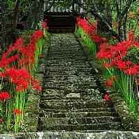 纱丽百变短包裙独一无二的印巴风情