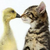 会享受生活的女生头像