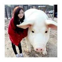 女生朝我开枪头像