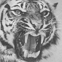 芯混搭头女生头像