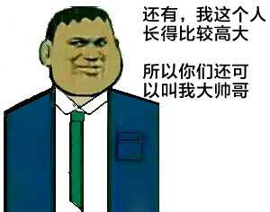 帅哥胖虎表情包帅逼