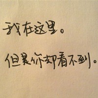 但是你却看不到手写文字