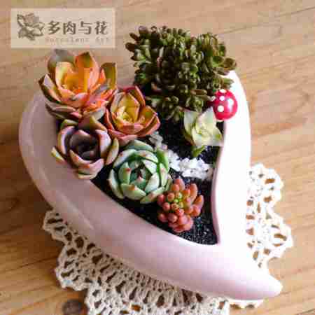 外贸原单家饰花环娃娃