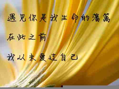微信头像唯美爱情文字