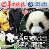 微××|大v|女汉子