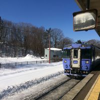 俩人去日本旅游|岁单身汉