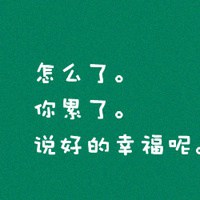 傻傻爱傻傻恋的文字情侣一