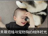 可爱小帅哥搞笑动物狗狗微信头像