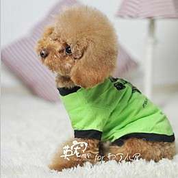 这小子长得真像