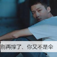 我们都会孤独的长大