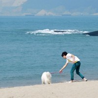 帅哥无极限|坐在阳光底下大声唱歌的情怀就是现